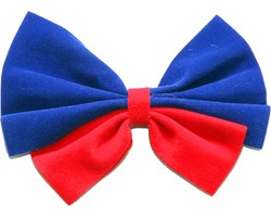 Papillon Clown