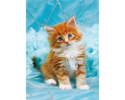 Puzzle 500 Pezzi - Gatto Fluffy Kitten