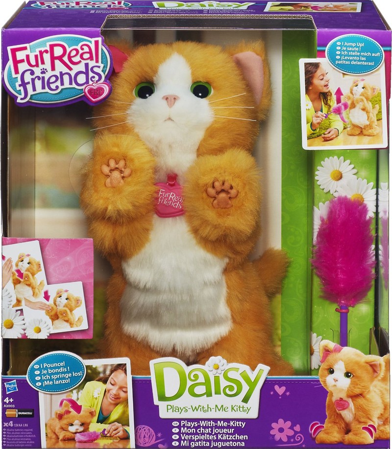 Gatto Daisy - Clicca l'immagine per chiudere